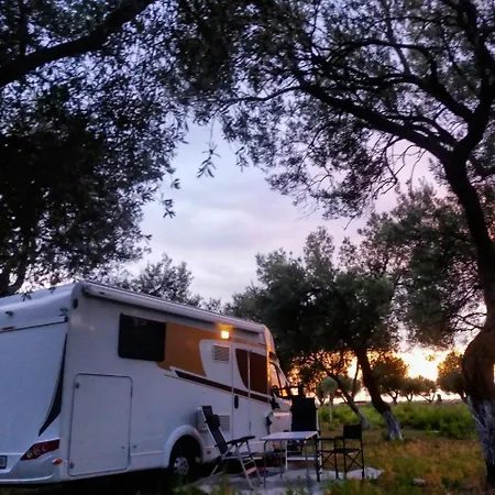Gold Camping & Caravan Park