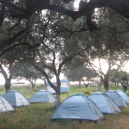 Gold Camping & Caravan Park